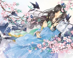 深入了解 麻花天美果冻